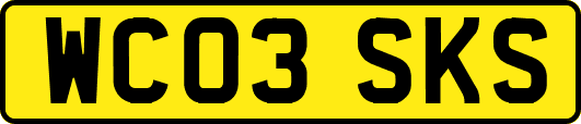 WC03SKS