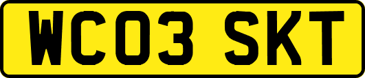 WC03SKT