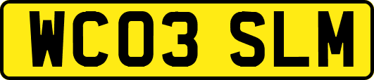 WC03SLM