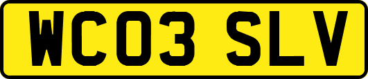 WC03SLV