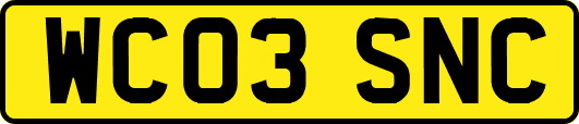 WC03SNC