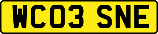 WC03SNE