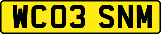 WC03SNM