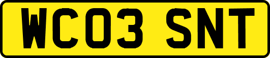 WC03SNT