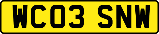 WC03SNW
