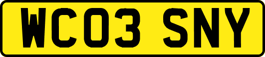 WC03SNY