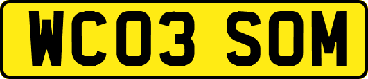 WC03SOM