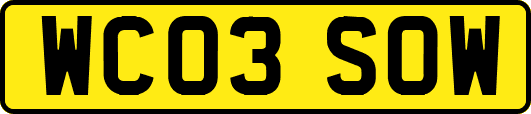 WC03SOW