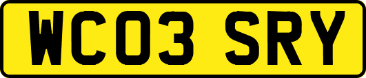 WC03SRY