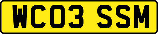 WC03SSM
