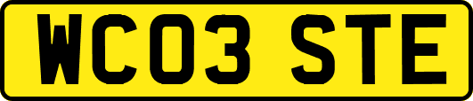 WC03STE