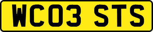 WC03STS