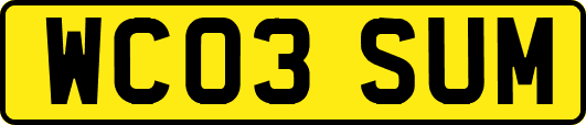 WC03SUM