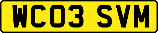 WC03SVM