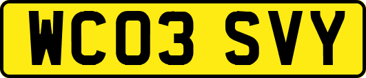 WC03SVY