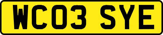 WC03SYE