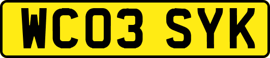 WC03SYK