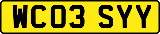 WC03SYY