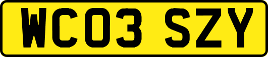 WC03SZY