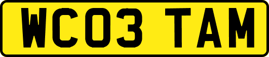 WC03TAM