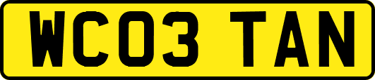 WC03TAN