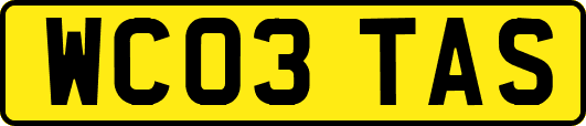 WC03TAS