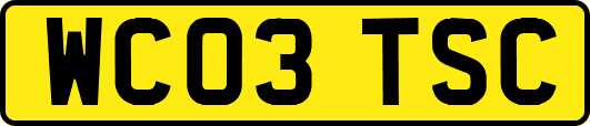 WC03TSC