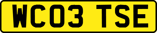WC03TSE