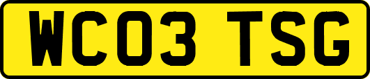WC03TSG