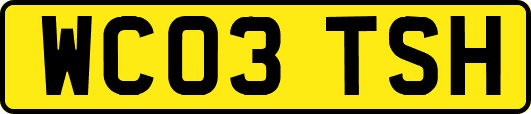 WC03TSH