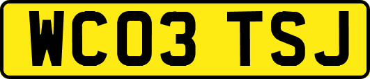 WC03TSJ