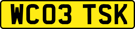 WC03TSK