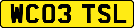 WC03TSL