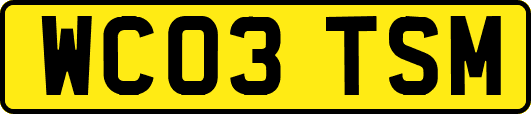 WC03TSM