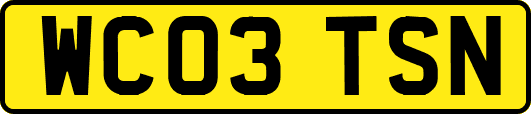 WC03TSN