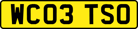 WC03TSO