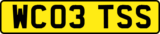 WC03TSS