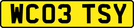 WC03TSY