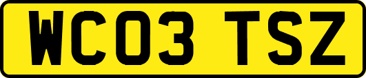 WC03TSZ