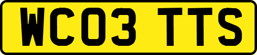 WC03TTS