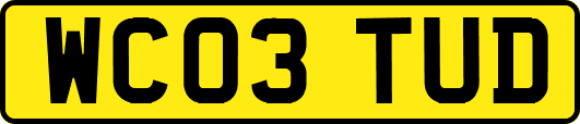 WC03TUD