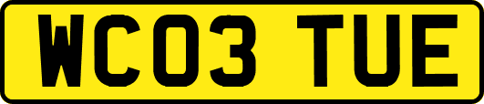 WC03TUE
