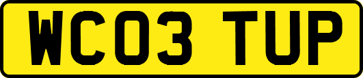 WC03TUP