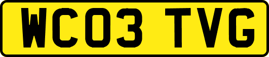 WC03TVG
