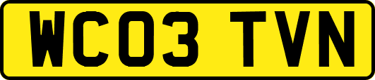 WC03TVN
