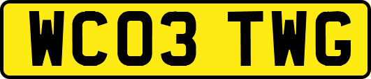 WC03TWG