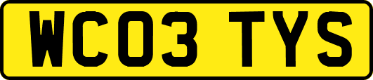 WC03TYS