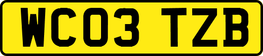 WC03TZB