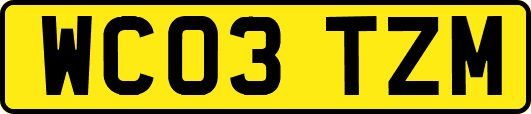 WC03TZM