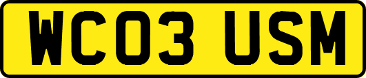 WC03USM